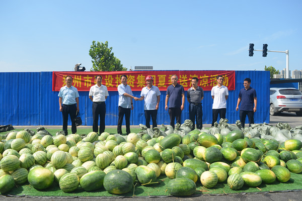 集團公司開展夏日送清涼活動